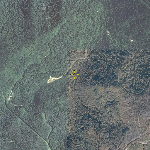Aerial/Satellite Image of Camp Fork, KY