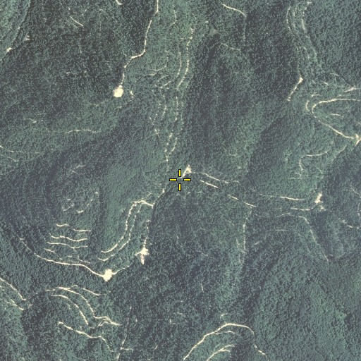 Aerial/Satellite Image of Fate Fork, KY