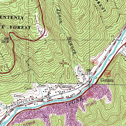 Topographic Map of Chestnut Flats, KY