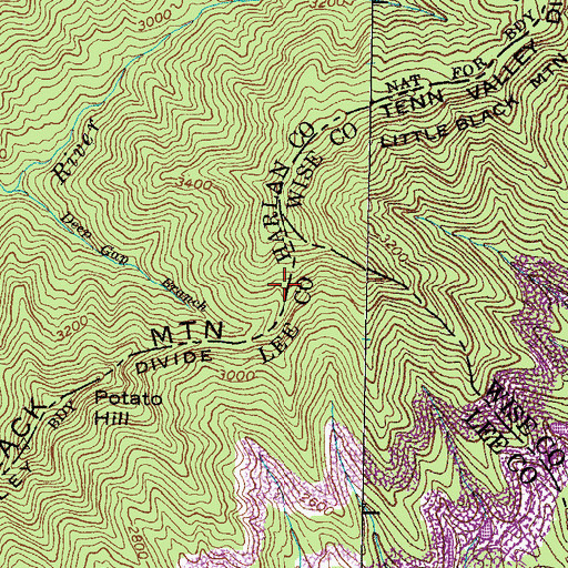Topographic Map of Low Gap, KY