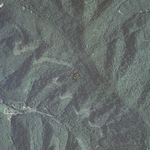 Aerial/Satellite Image of Terry Spur, KY