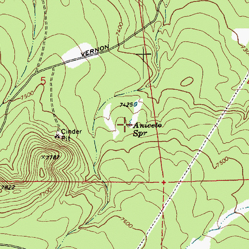 Topographic Map of Aniceto Spring, AZ