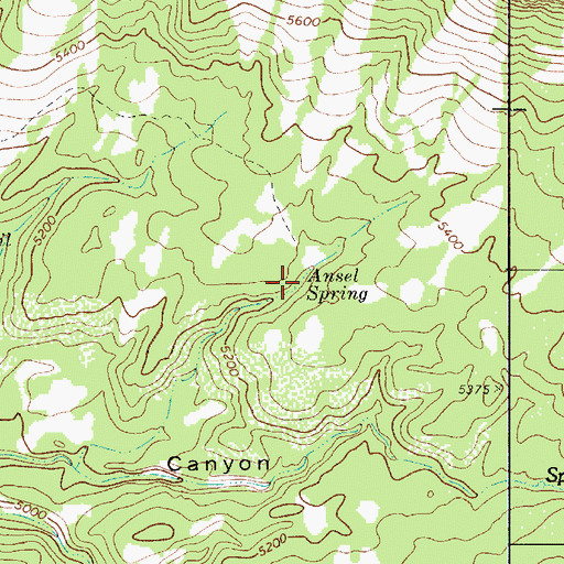 Topographic Map of Ansel Spring, AZ