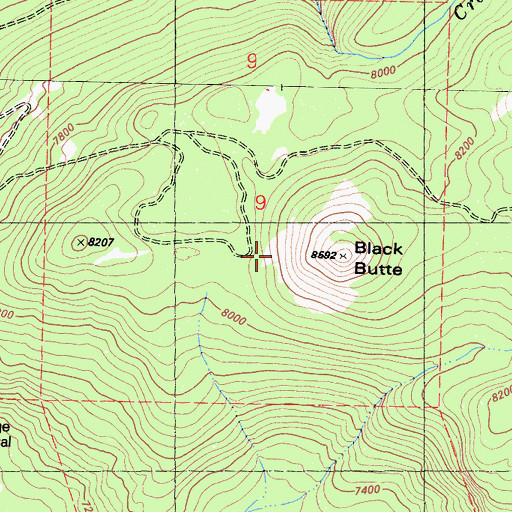 Topographic Map of Bear Butte, CA