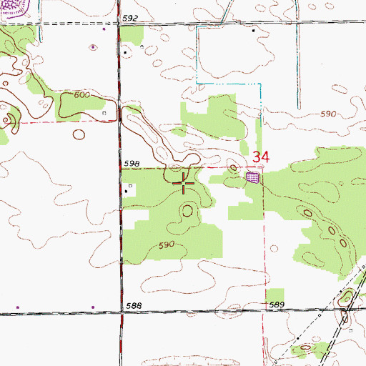 Topographic Map of Tammen Treeberry Farm, IL