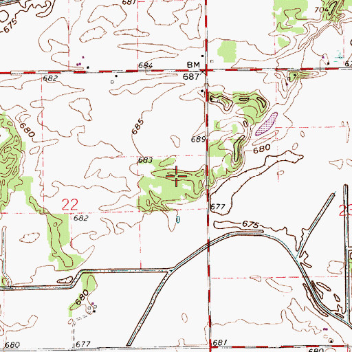 Topographic Map of White County Pullet Farm, IN