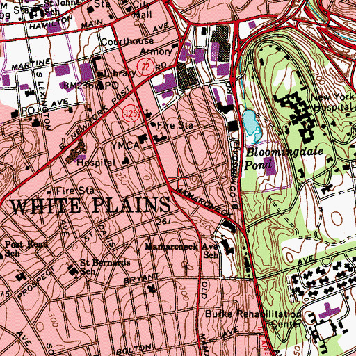 Topographic Map of Pix Theatre (historical), NY