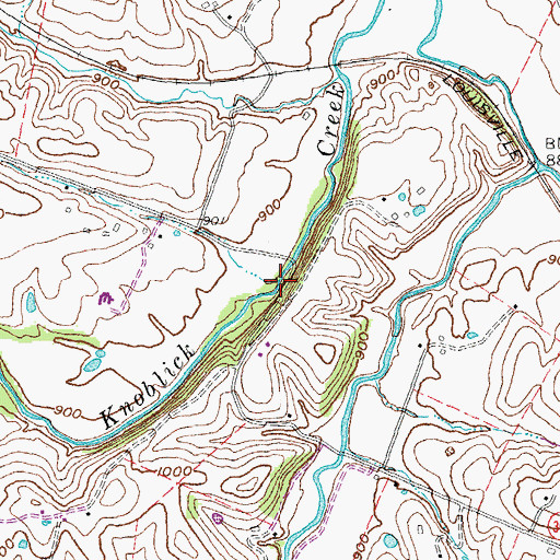 Topographic Map of Blacks Branch, KY