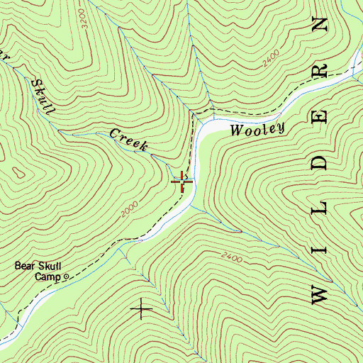 Topographic Map of Bear Skull Creek, CA