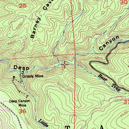 Topographic Map of Bear Trap Creek, CA