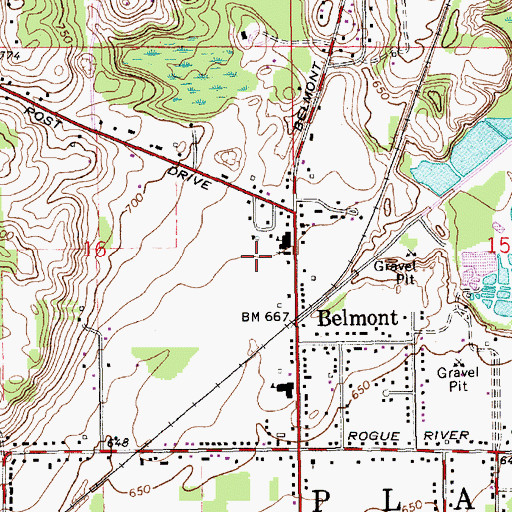 Topographic Map of Saint Mary's Cemetery, MI