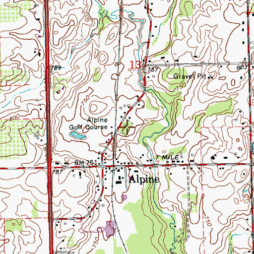 Topographic Map of Pine Grove Cemetery, MI