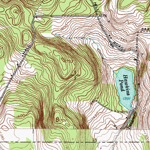 Topographic Map of Hawkins Pond Quarry, NY