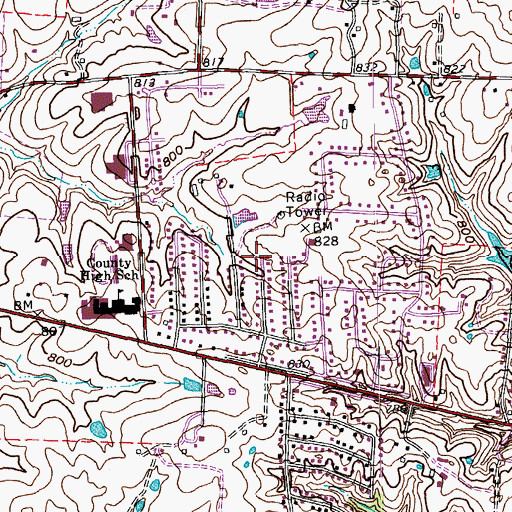 Topographic Map of Helmsville Post Office (historical), KY