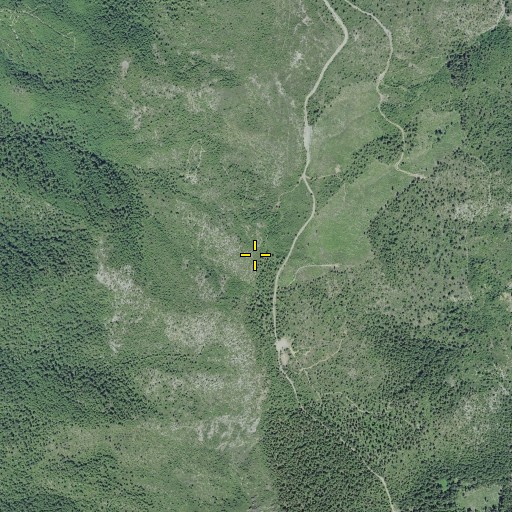 Aerial/Satellite Image of Bear Wallow, CA