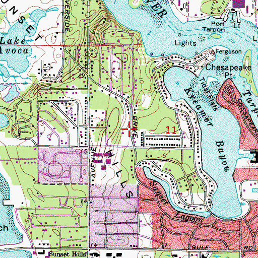Topographic Map of Riverside Park, FL