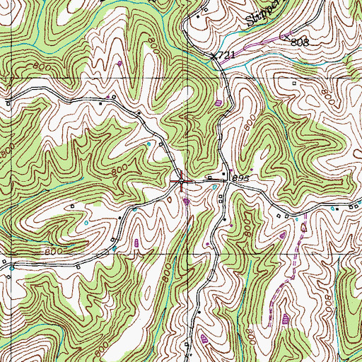 Topographic Map of School Number Eighty-One (historical), KY