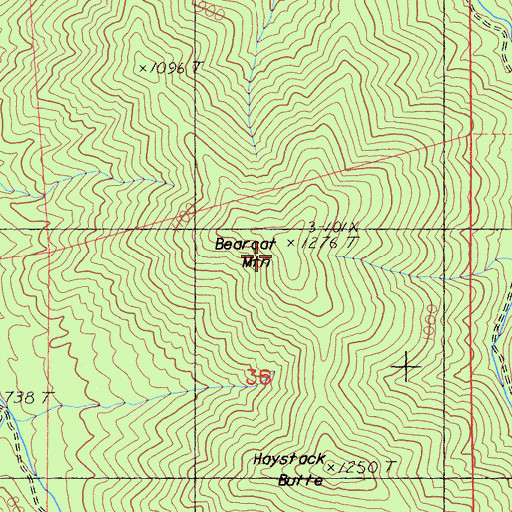 Topographic Map of Bearcat Mountain, CA