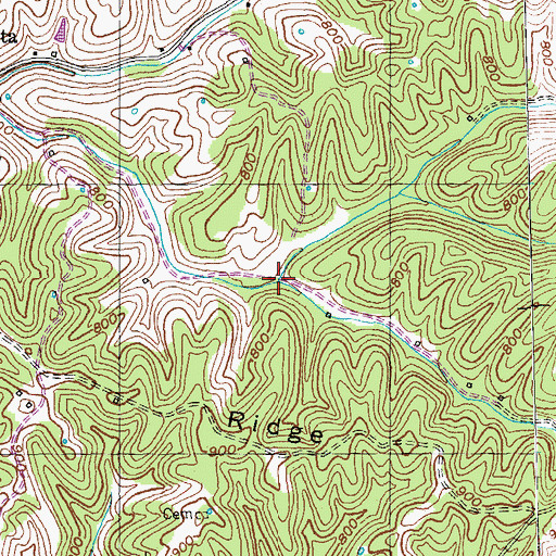 Topographic Map of Wiley Branch, KY