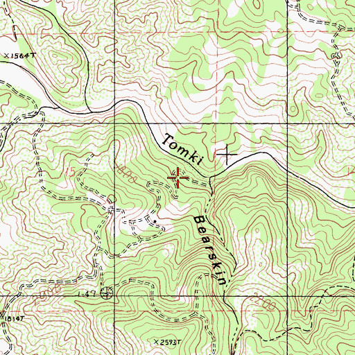 Topographic Map of Bearskin Canyon, CA