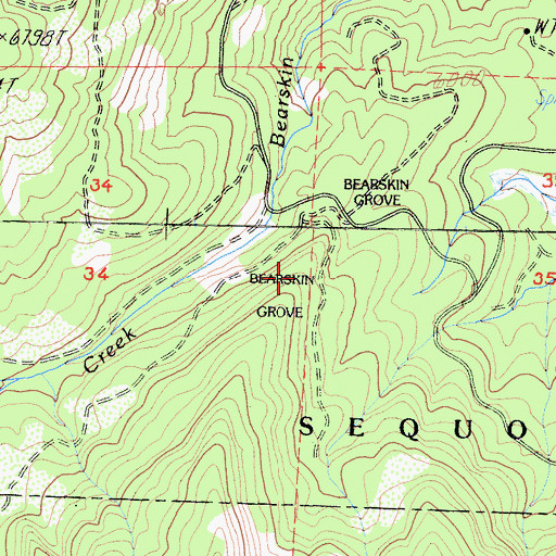 Topographic Map of Bearskin Grove, CA