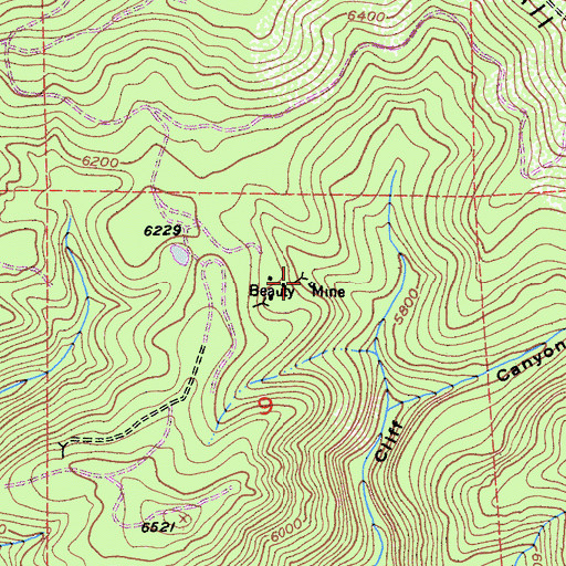 Topographic Map of Beauty Mine, CA