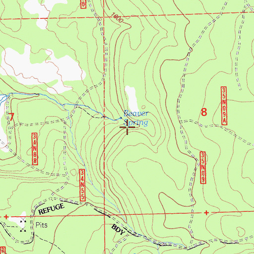 Topographic Map of Beaver Spring, CA