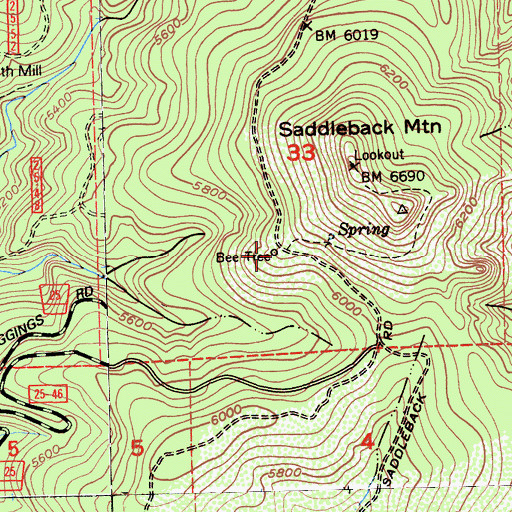 Topographic Map of Bee Tree, CA