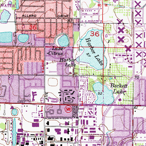 Topographic Map of Cedar Groves, FL