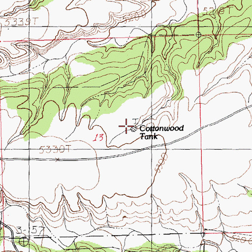 Topographic Map of Cottonwood Tank, NM