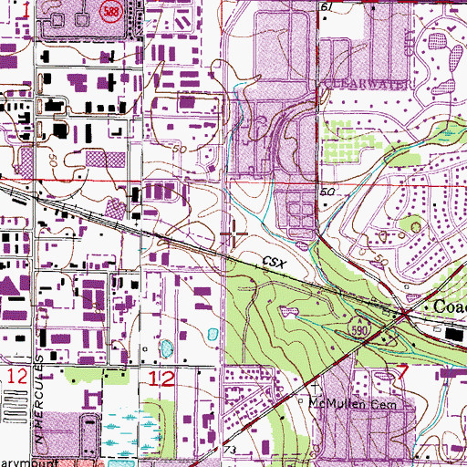 Topographic Map of Long Center, FL