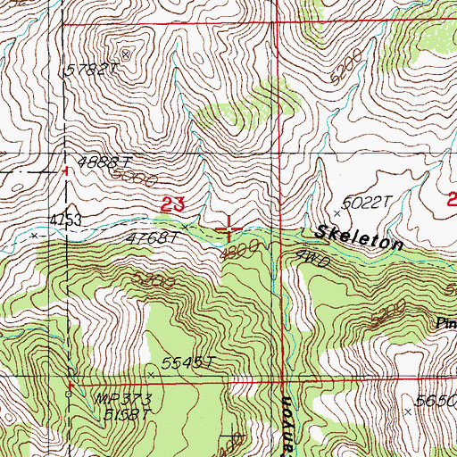 Topographic Map of Pony Canyon, NM