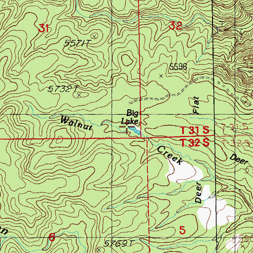 Topographic Map of Big Lake, NM