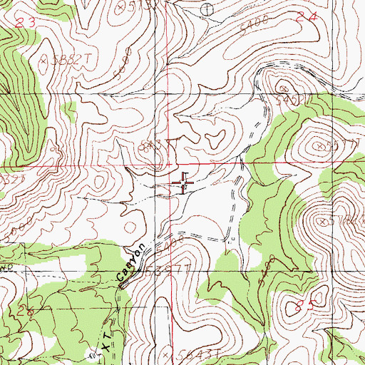 Topographic Map of XT Canyon, NM