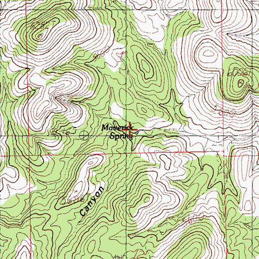 Topographic Map of Wolf Canyon, NM