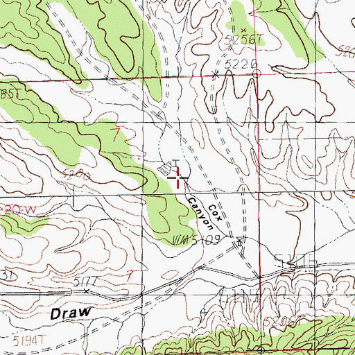 Topographic Map of Ray Canyon, NM