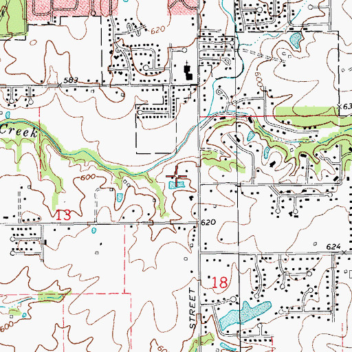 Topographic Map of Niemann Farms, IL
