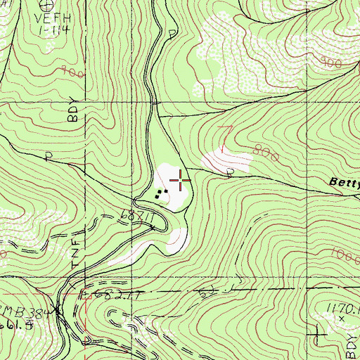 Topographic Map of Betty Gulch, CA