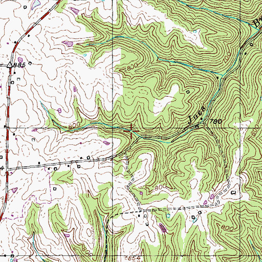 Topographic Map of Boss Spring (historical), KY