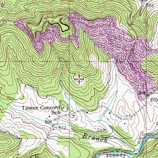 Topographic Map of The Grass Field, KY