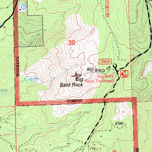 Topographic Map of Big Bald Rock, CA