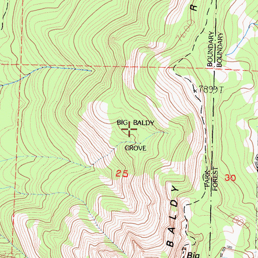 Topographic Map of Big Baldy Grove, CA