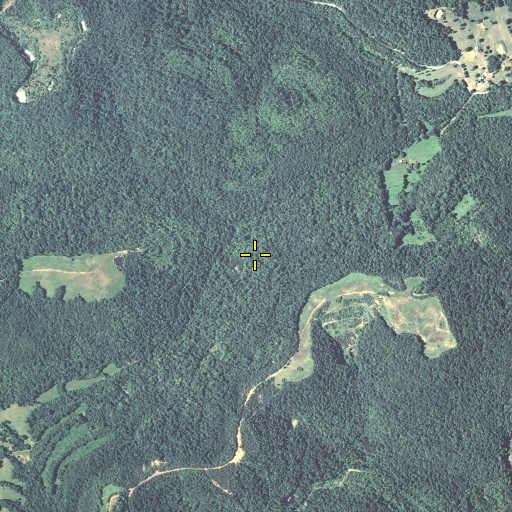 Aerial/Satellite Image of Blue Spring, KY