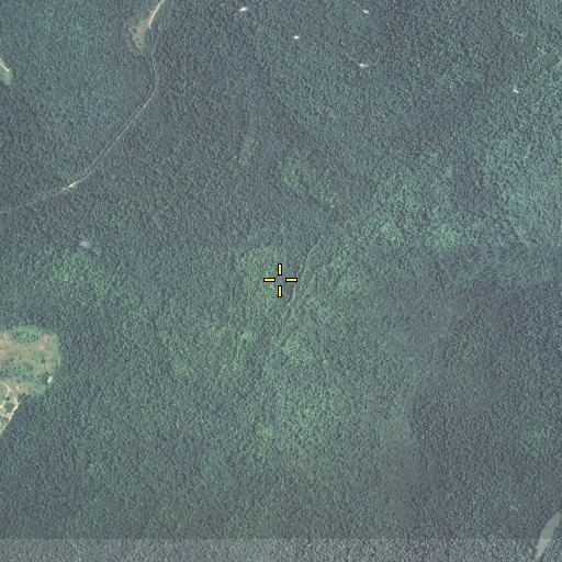 Aerial/Satellite Image of Cave Spring, KY