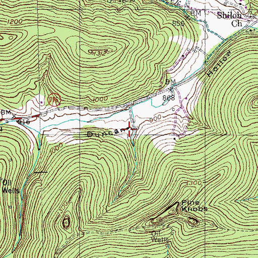 Topographic Map of Chrisman-Duncan Cemetery, KY