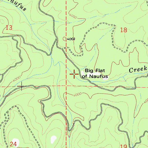 Topographic Map of Big Flat of Naufus, CA