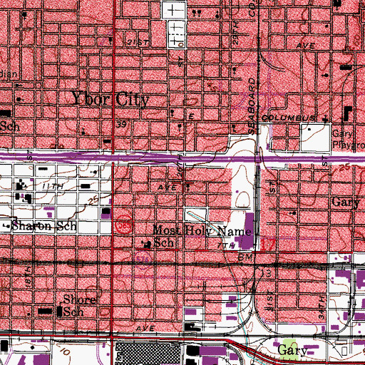 Topographic Map of East Ybor Park, FL