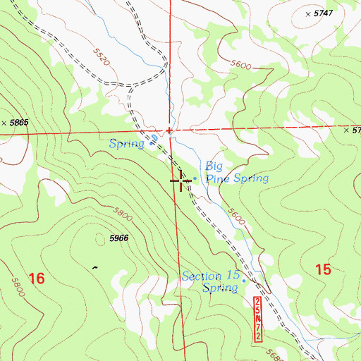Topographic Map of Big Pine Spring, CA