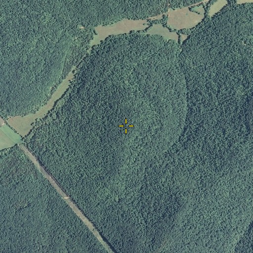 Aerial/Satellite Image of Fork Ridge, KY