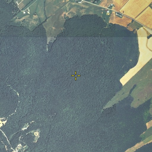 Aerial/Satellite Image of The Pinnacle, KY